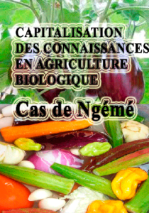 Lire la suite à propos de l’article Capitalisation des connaissance : cas de Ngémé