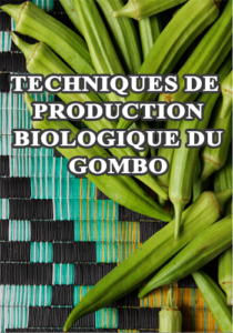 Lire la suite à propos de l’article Fiche technique du Gombo