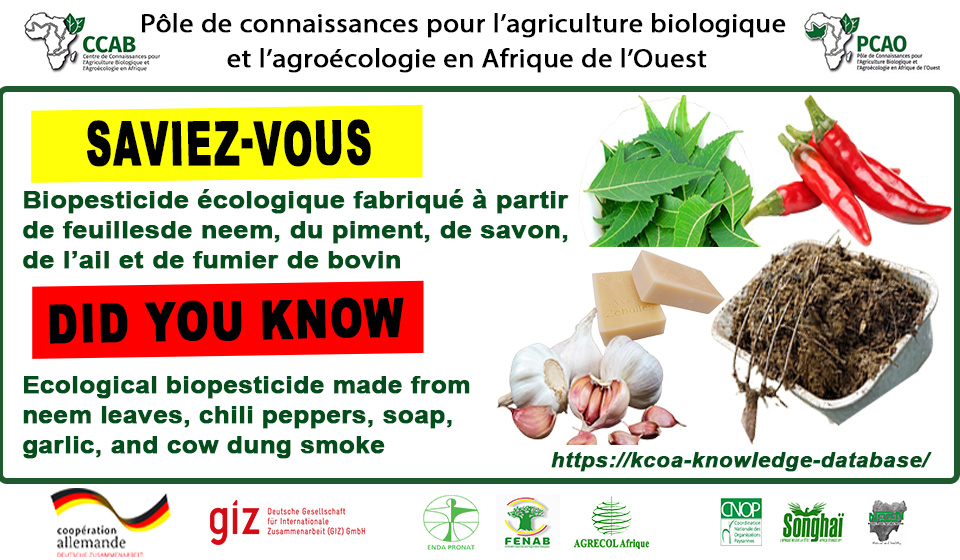 You are currently viewing Un biopesticide naturel pour une agriculture durable