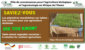 Lire la suite à propos de l’article Les pépinières maraîchères sur tables : Une solution pour une agriculture résiliente.