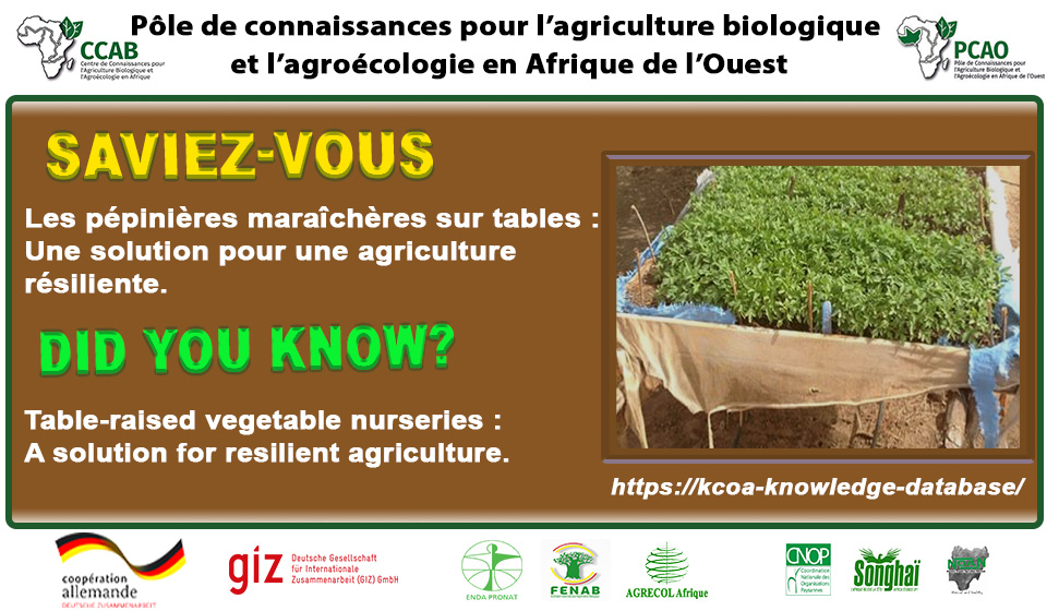 You are currently viewing Les pépinières maraîchères sur tables : Une solution pour une agriculture résiliente.